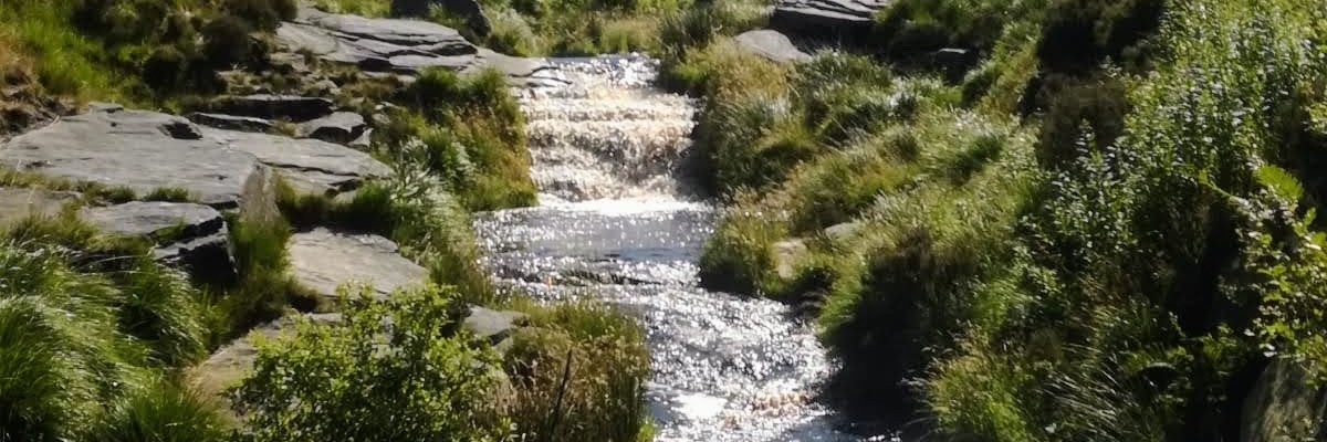 FreshwaterQuality's banner
