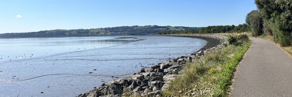 TheMartyHiggins Profile Banner