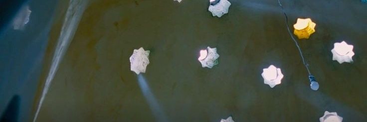 angelvbites's profile banner image