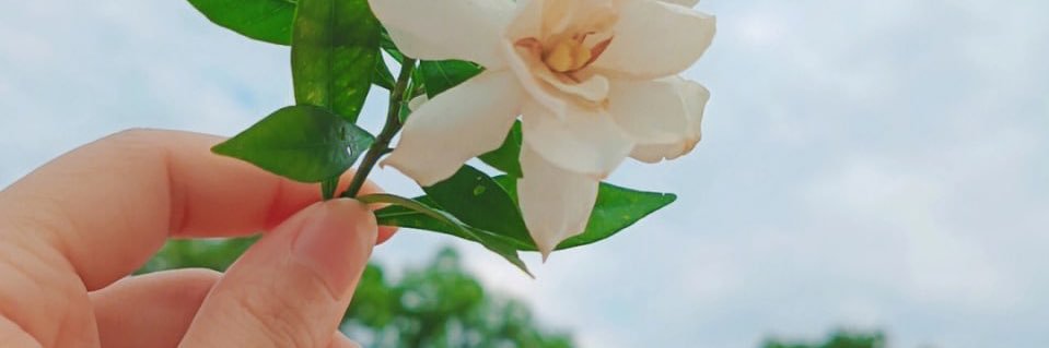 ninauntouchable's profile banner image