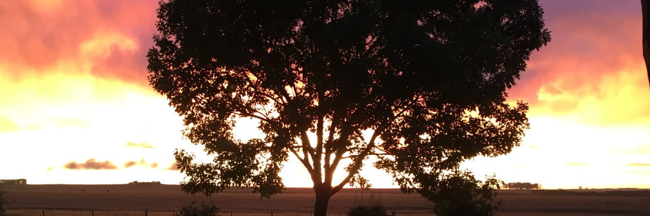 Alfonso Capurro banner