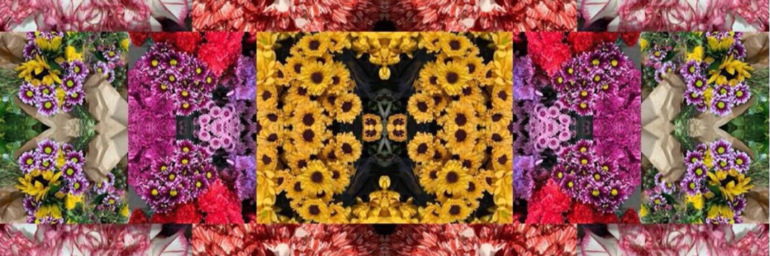 cosmicgrrrI's profile banner image