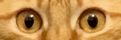 ozany's profile banner image