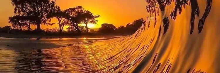 💵 DIPWICKS banner