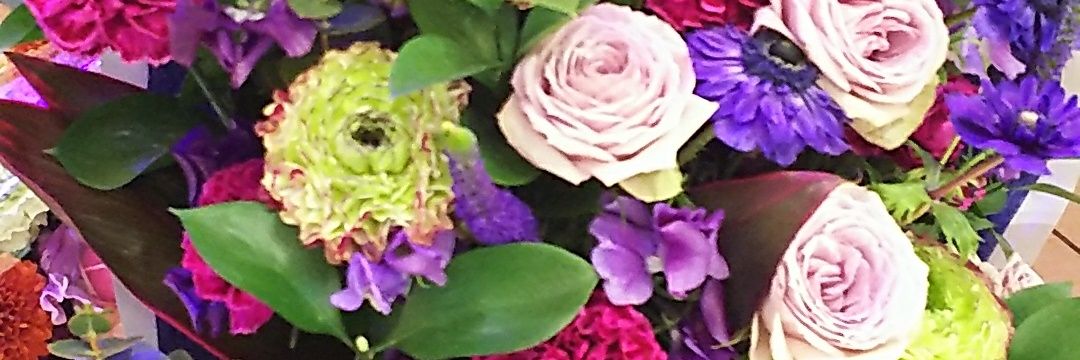 duffy_san's profile banner image