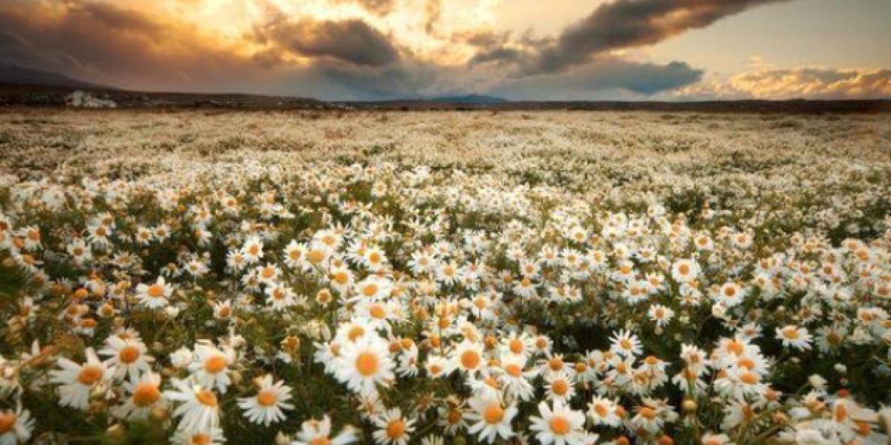 sawah252's profile banner image