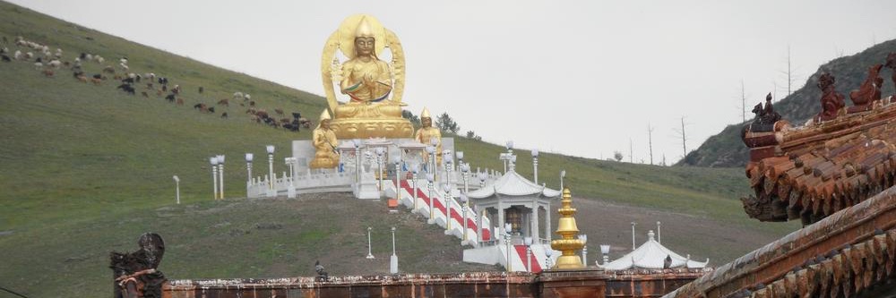 Semper Augustus 🏛️ S.P.Q.R. banner