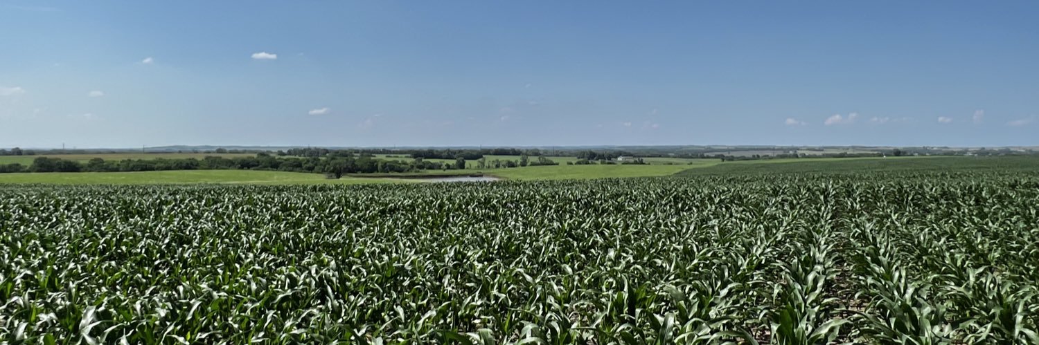 Channel Kansas banner
