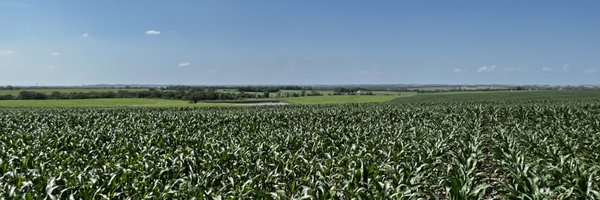 Channel_Kansas Profile Banner