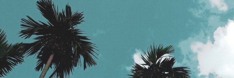 jennifer harper banner