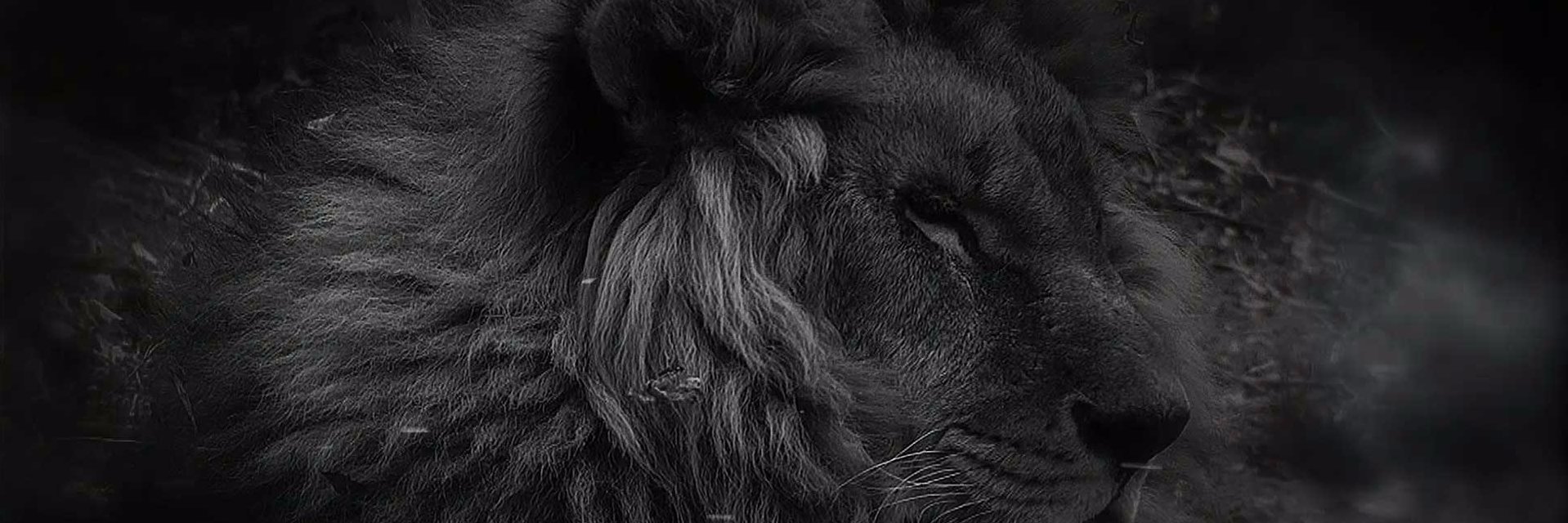 rp3's profile banner image