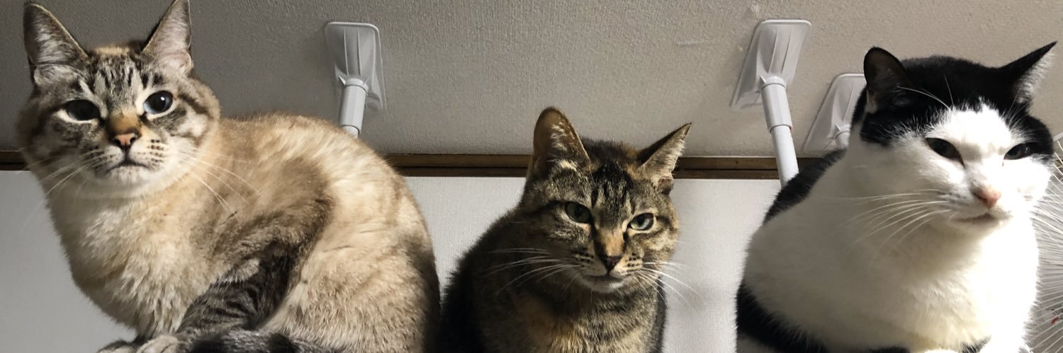 hakiriko's profile banner image