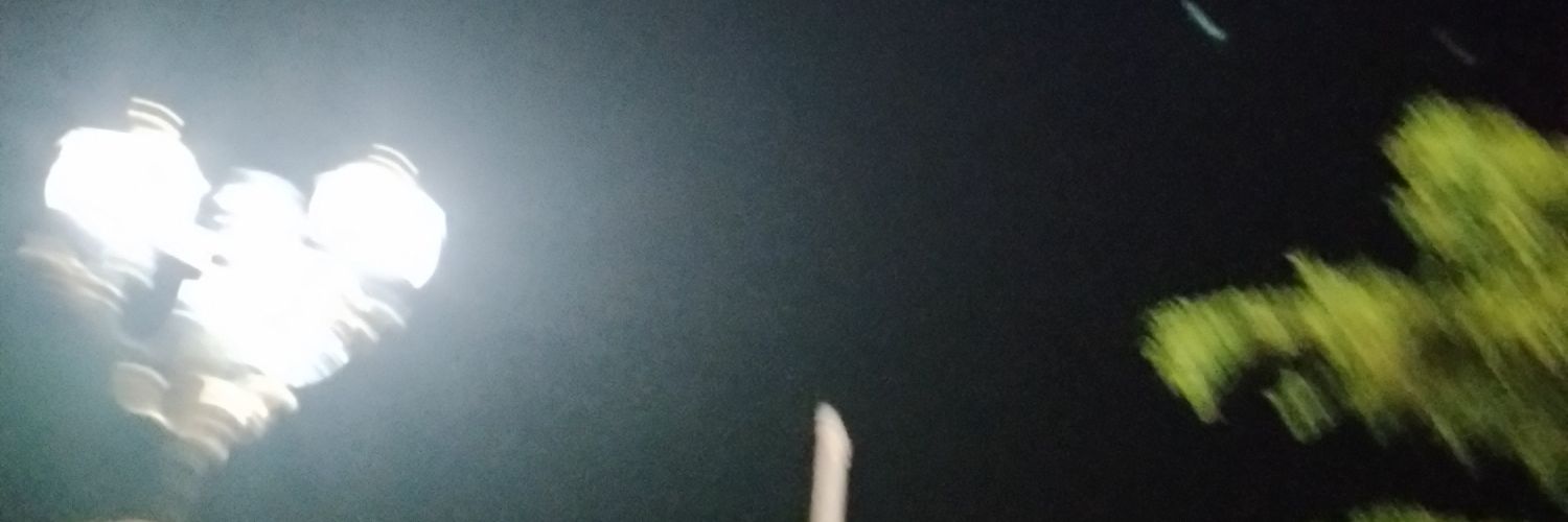 telursatuu's profile banner image