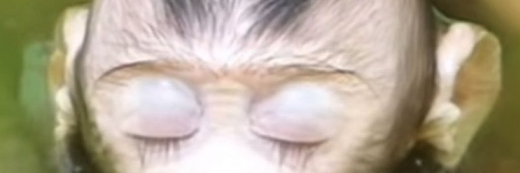 ineedhelpmahn's profile banner image