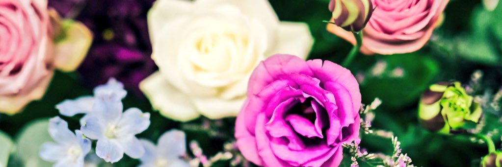 kanape_jp's profile banner image