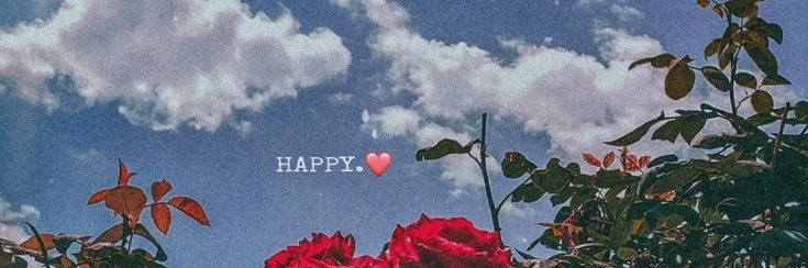 rummana🍯 banner