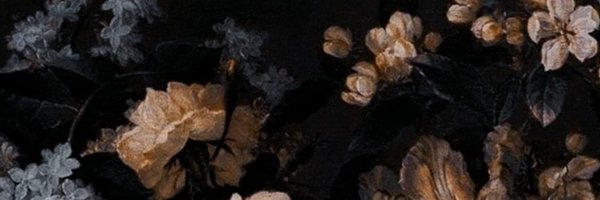 First_Phoenixx Profile Banner
