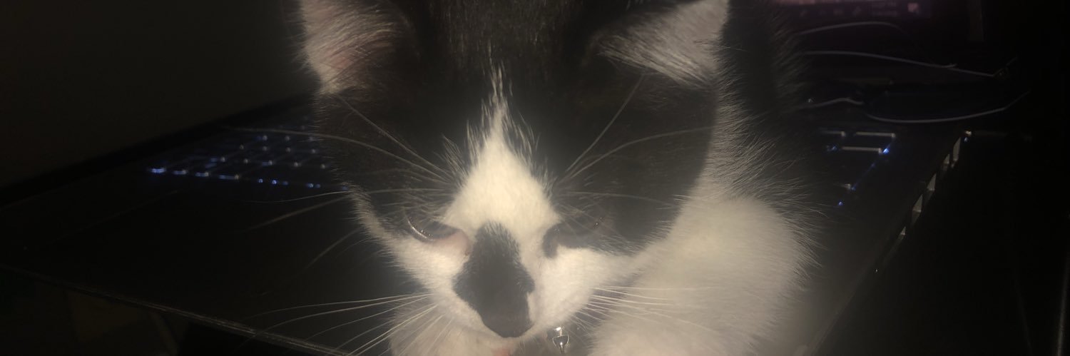 Michael McCrary banner