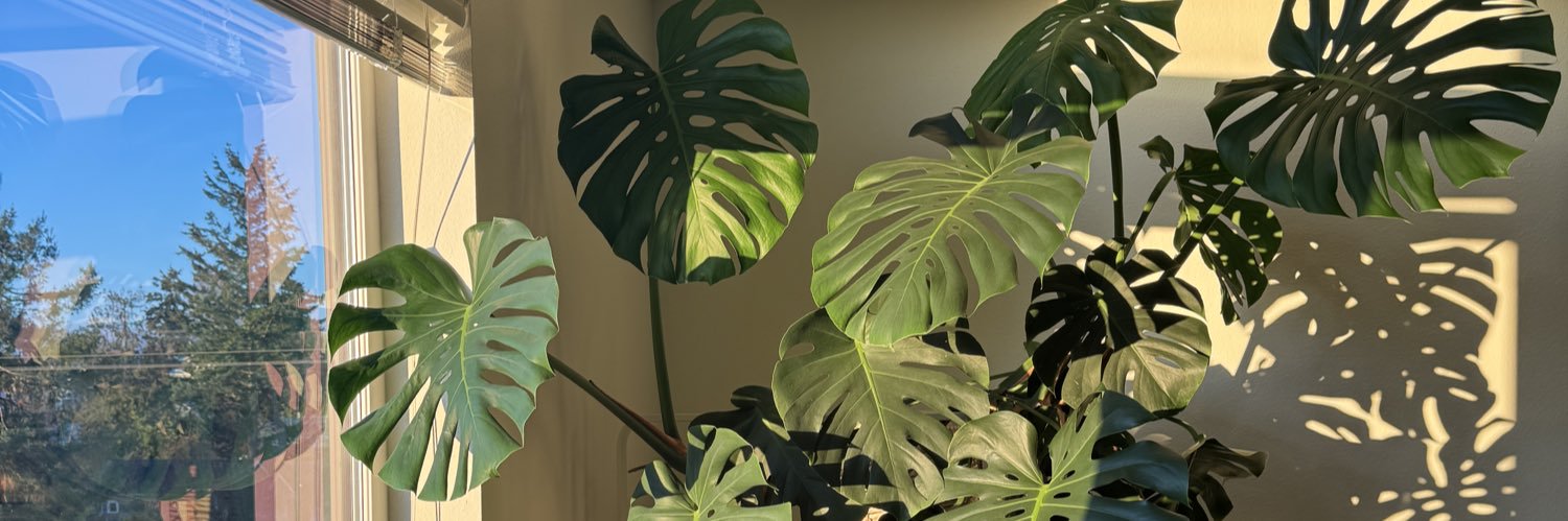 cabincoy's profile banner image
