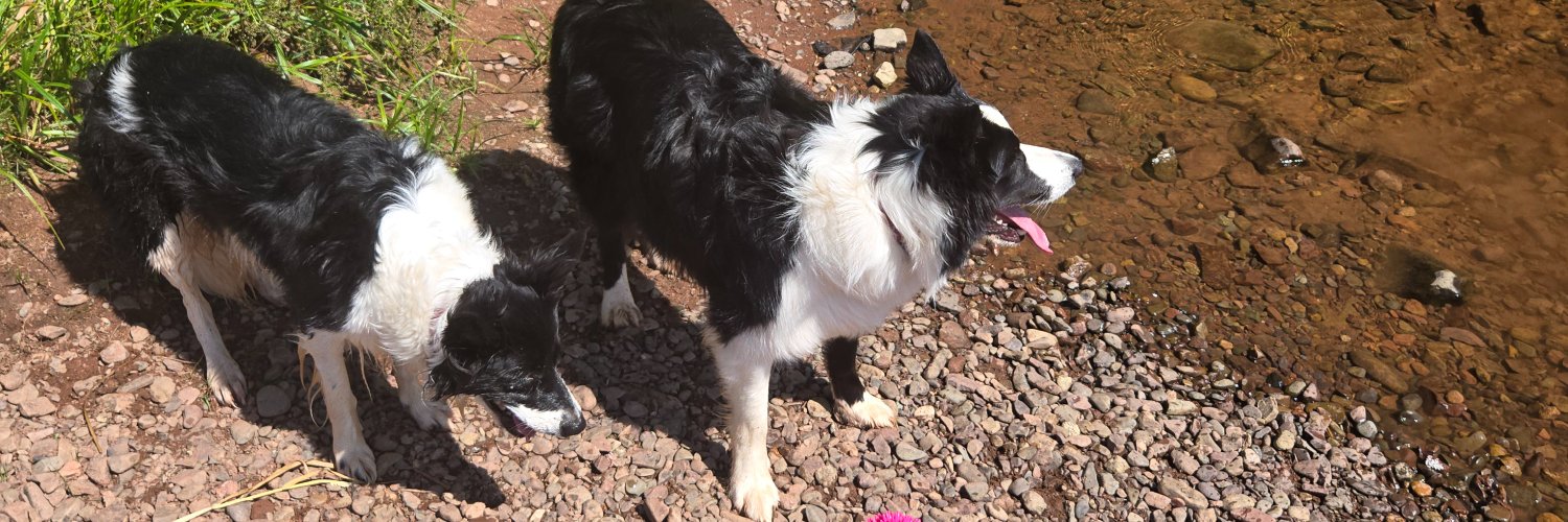 Shane Propane banner