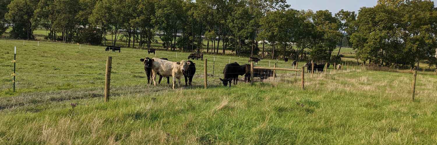 David Andersen banner