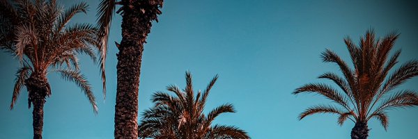 _andypat Profile Banner