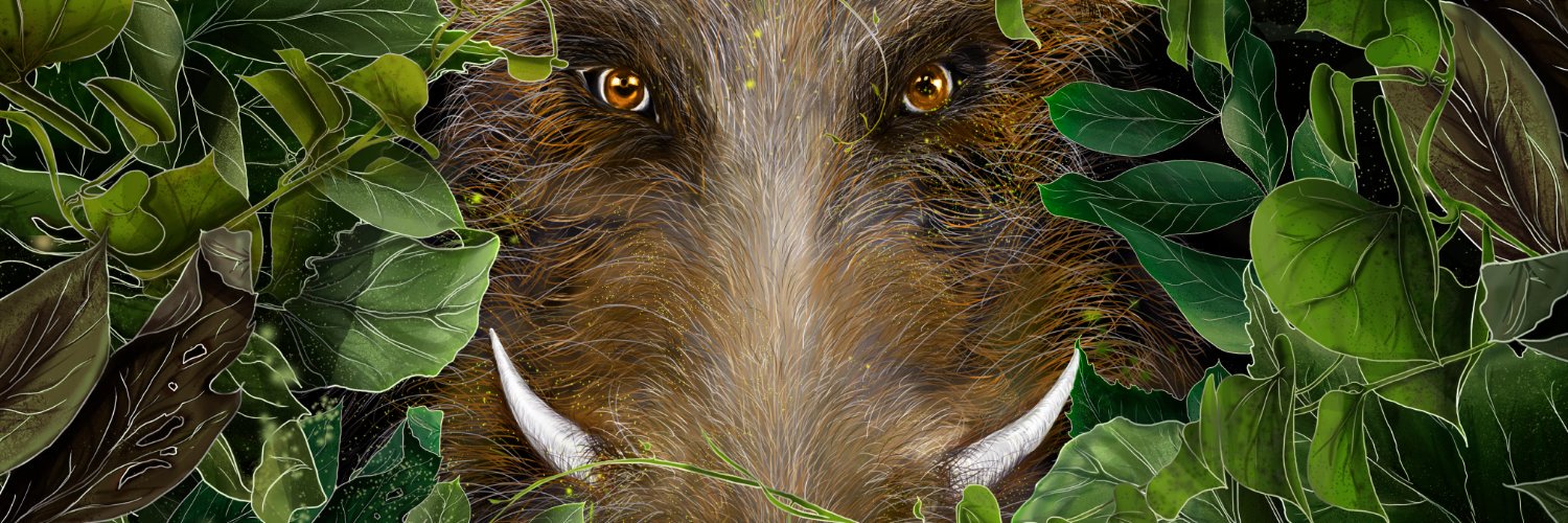 JoshGerritsen's profile banner image