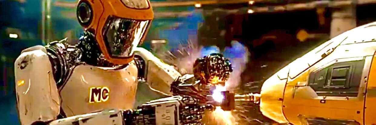 Red Fox Ryder⛏ banner