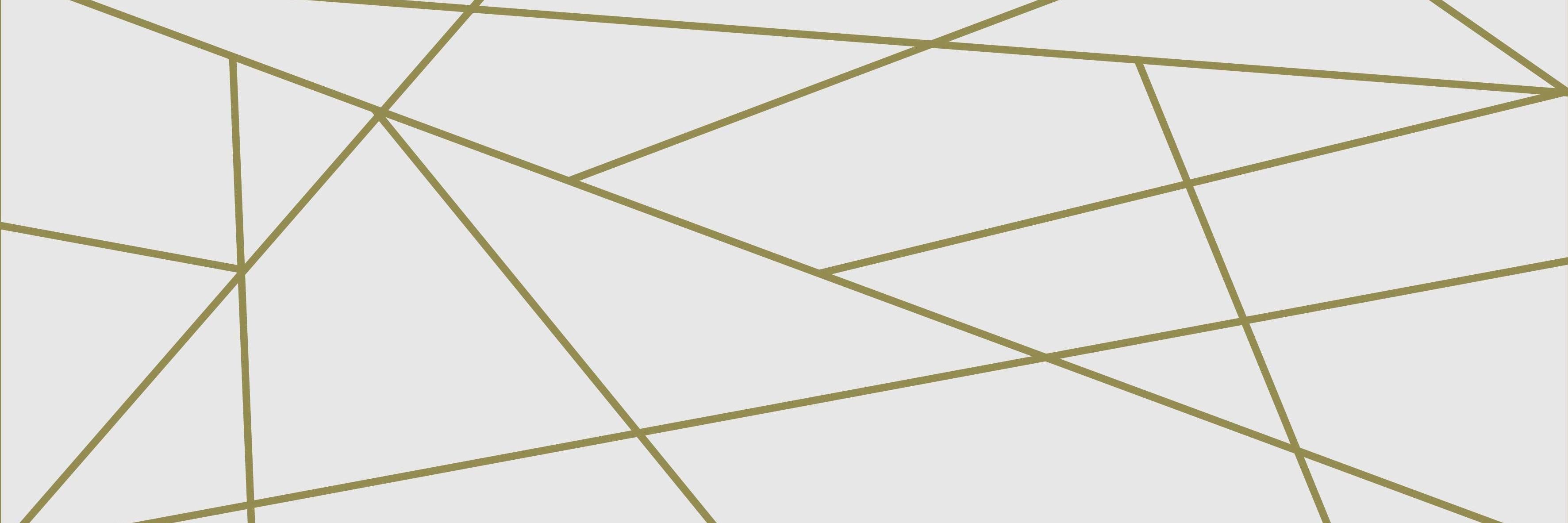 Danielle Hueston banner