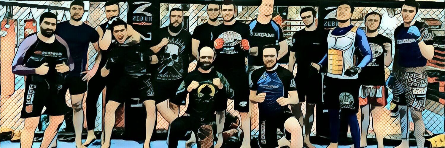 PerkinsJiuJitsu's profile banner image