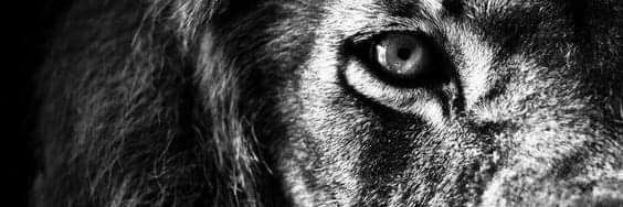 arash_thh's profile banner image