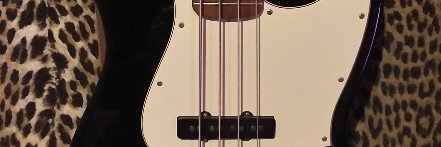 SKAFREGBEAT70 banner