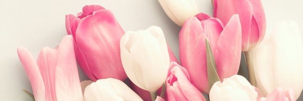 SharMontes's profile banner image