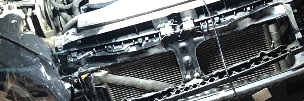 Son of Gustav banner