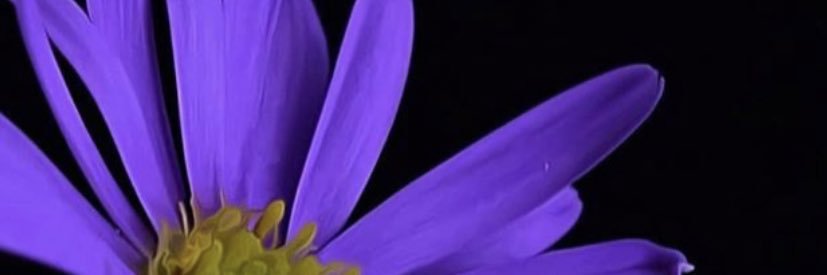 shamO_Q's profile banner image