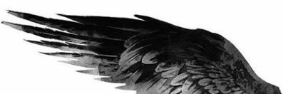 _xfzx's profile banner image