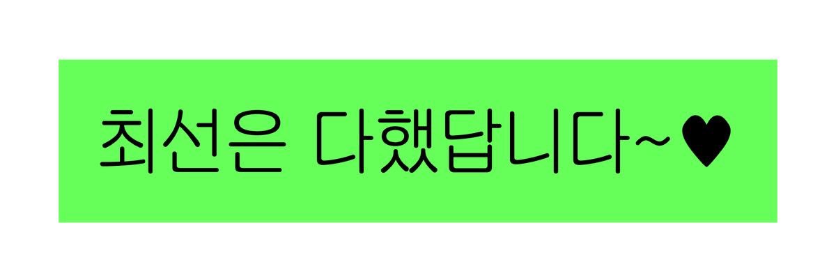 쫑이 banner