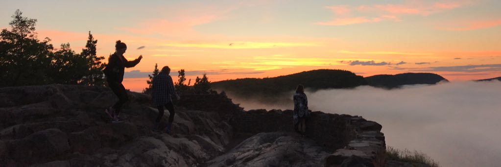 d_deback's profile banner image