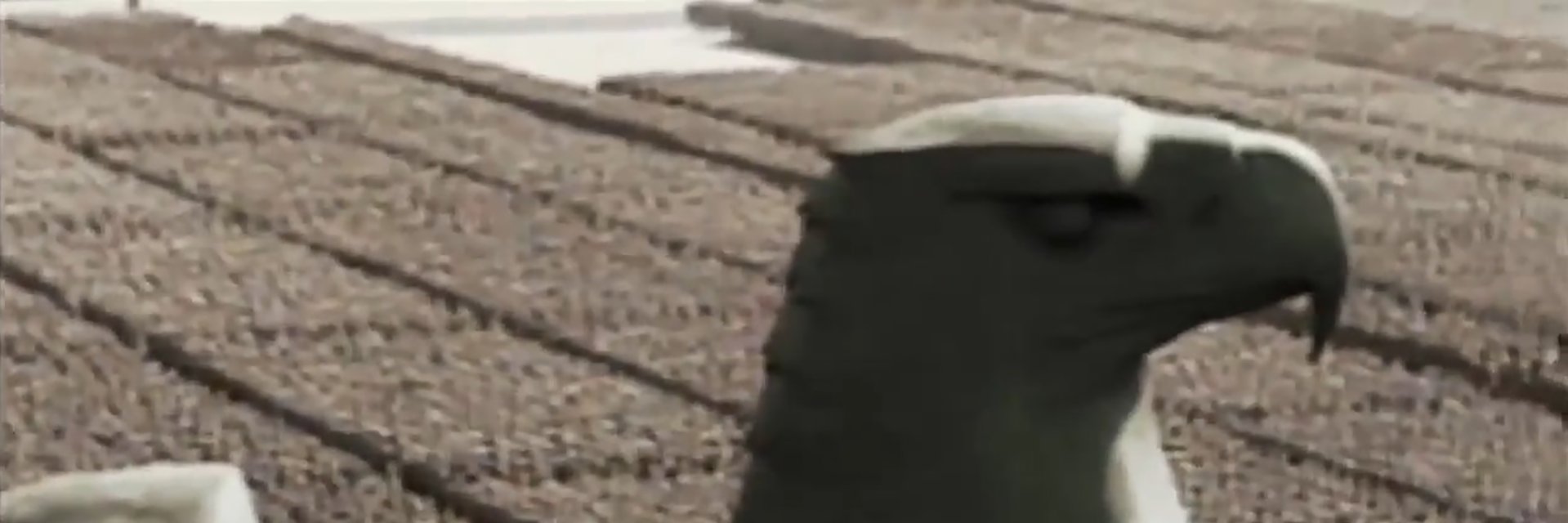 Nbrhns's profile banner image