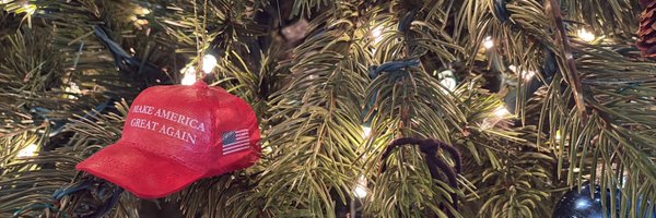 CrunchyMAGAMama Profile Banner