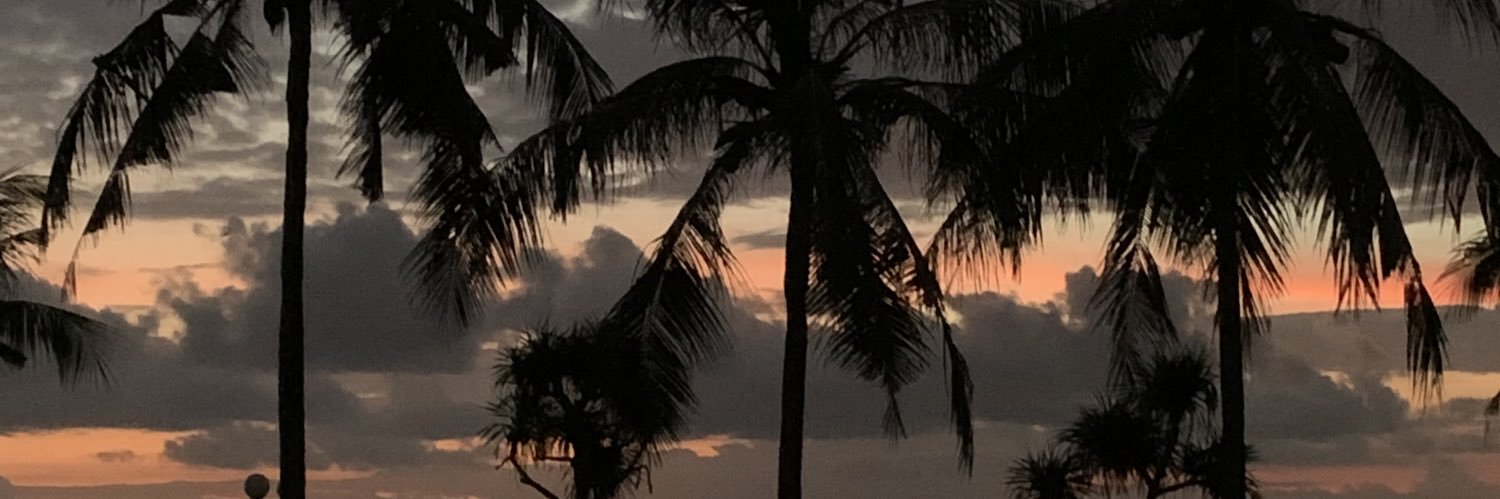 Bali_chris banner