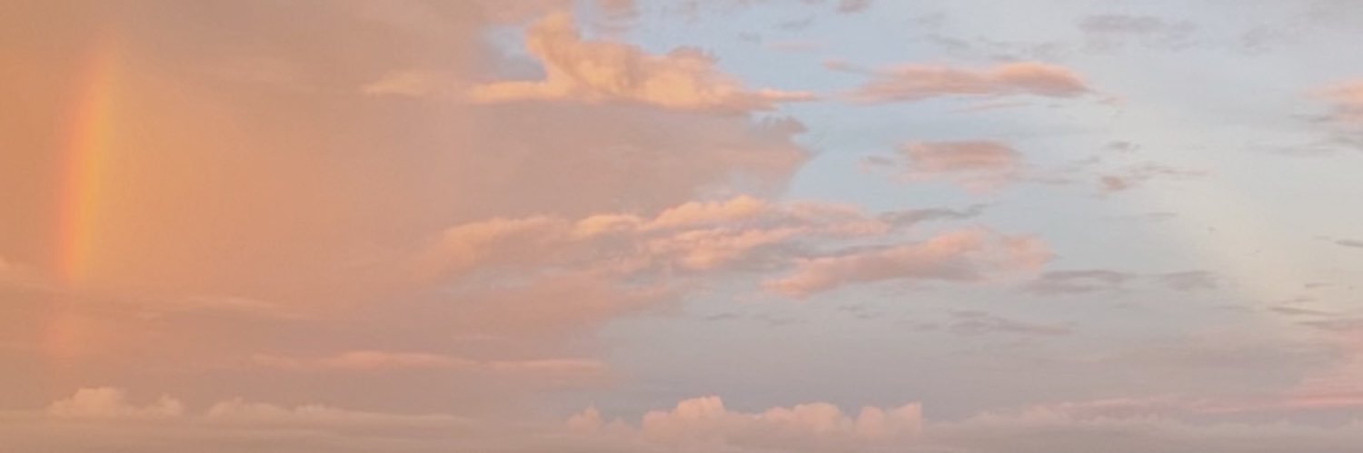 paigelanza's profile banner image
