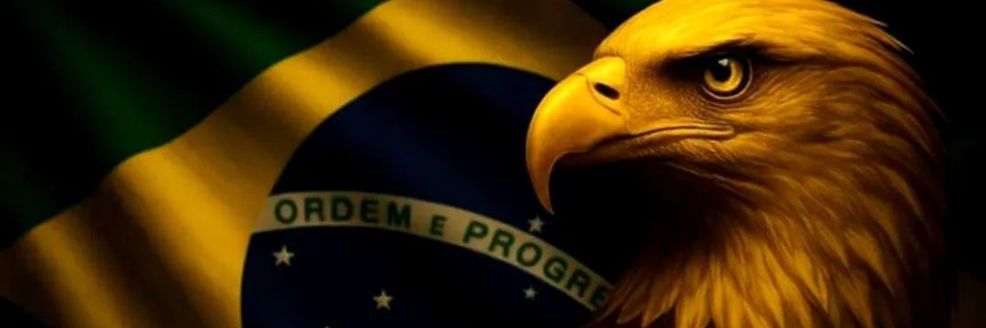 🌻Foco em notícias🌻 🇧🇷 banner