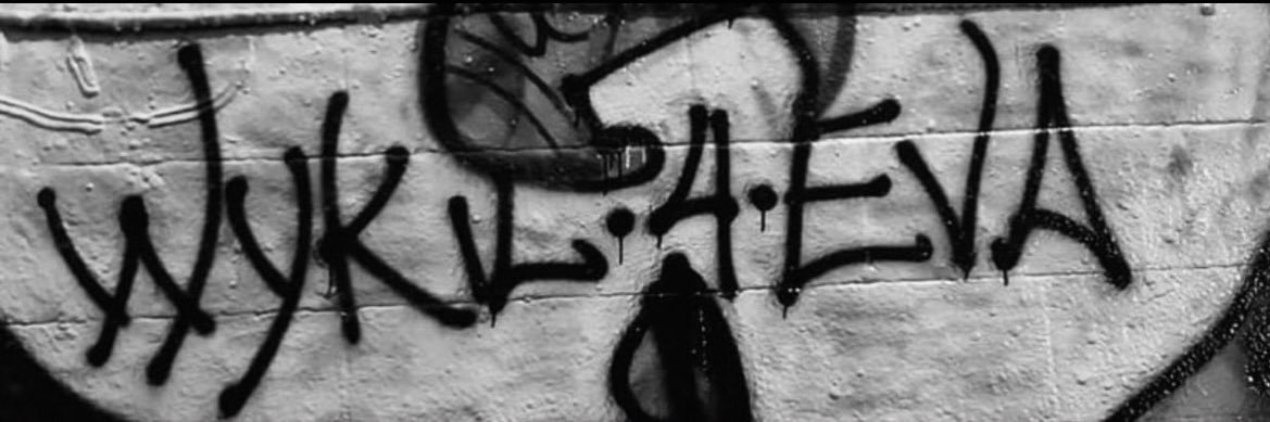 🐦‍⬛ banner