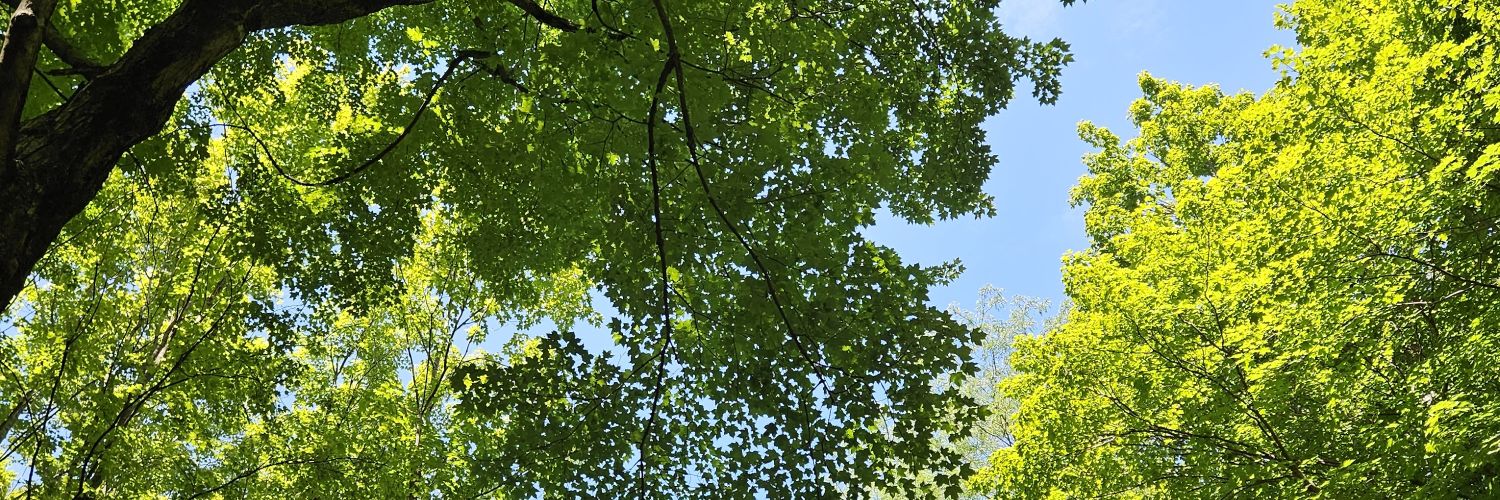 HSProductions7's profile banner image