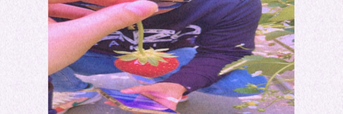 opmn6's profile banner image