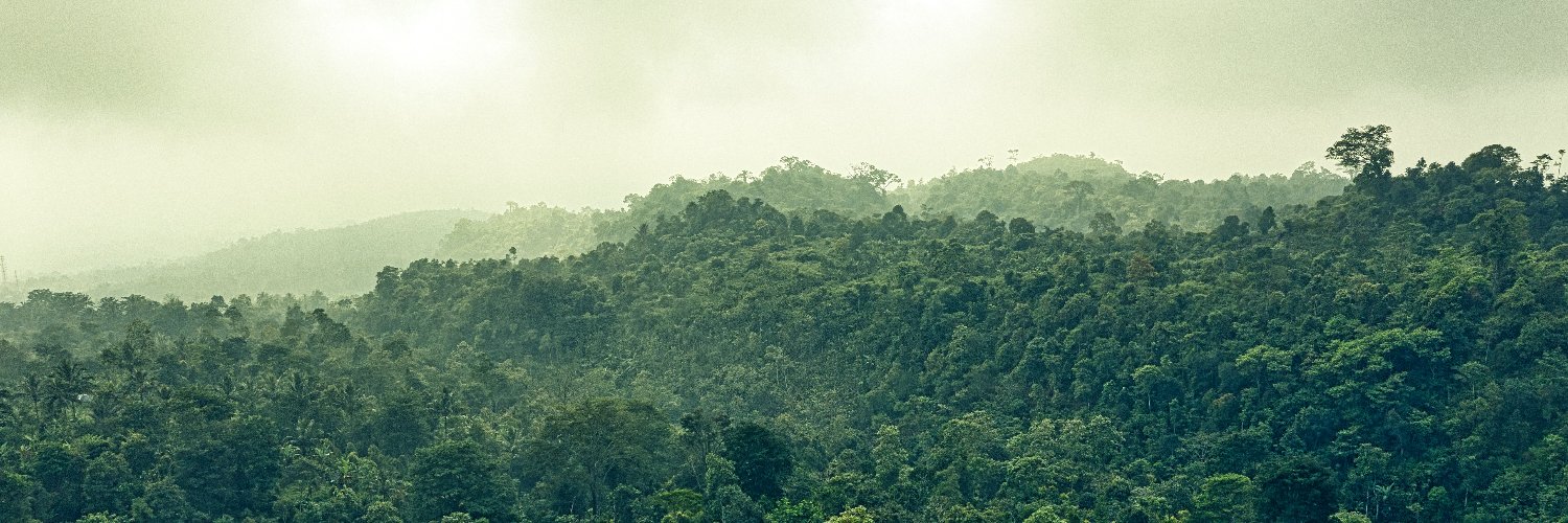 Gus Frerotte Fan Club banner