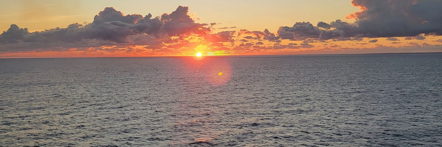 🐞Monica Peruser🦋 banner