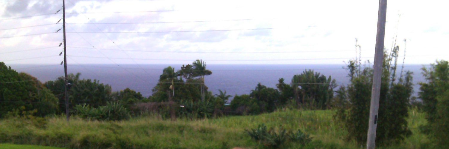 Wren Anderson banner