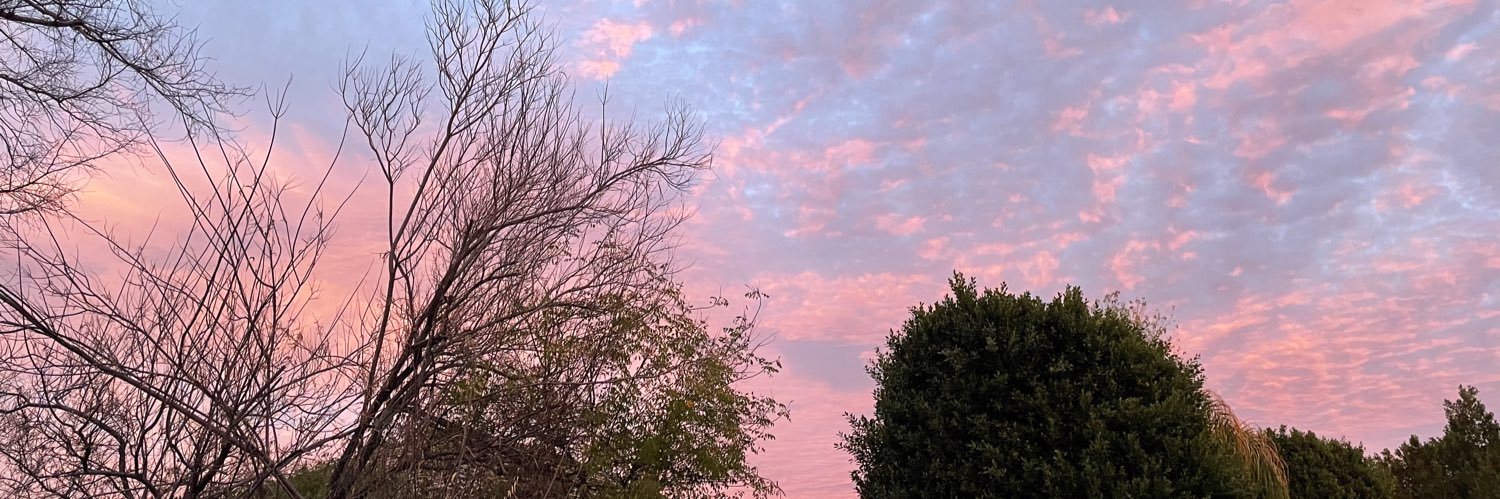 lareplogle's profile banner image